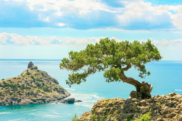 Obraz premium Beautiful summer sea landscape at the resort in the Crimea
