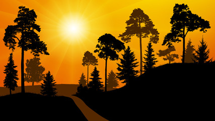 Forest silhouette of a sunset. Park road trees. Vector illustration