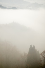 Wide angle aerial view of the silhouette of trees in the thick fog layer among the mountain range,...