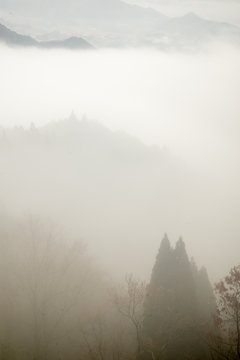 Fototapeta Wide angle aerial view of the silhouette of trees in the thick fog layer among the mountain range, from the top of Kunimigaoka. Takachiho, Miyazaki, Japan. Travel and environment concept.