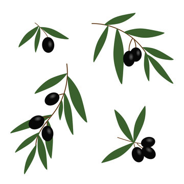 black olives branches with green leaves oil icon set vector