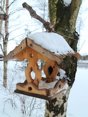 Naklejka premium bird feeder on the birch