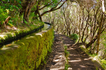 Obraz premium 25 Fontes levada on Madeira island, Portugal