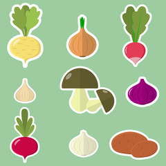 A set of fresh vegetables in a white stroke on a green background.