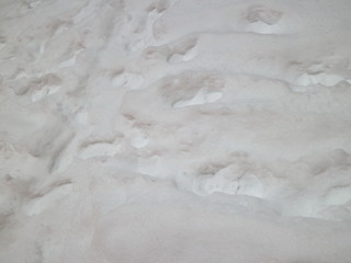 traces of people in the snow