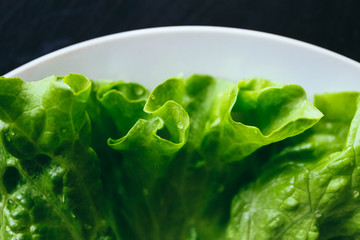 Fresh salad leaf with water drops, macro view on a plate. Green salad leaves backdrop.