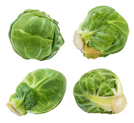 Fototapeta premium Fresh brussels sprout isolated on white background with clipping path