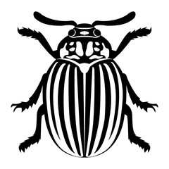 Vector image of the Colorado beetle silhouette on a white background