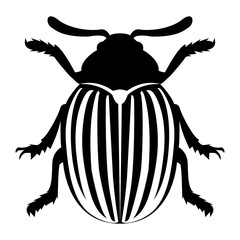 Vector image of the Colorado beetle silhouette on a white background