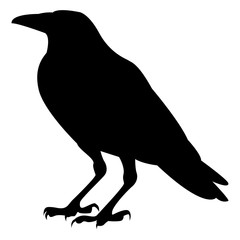 Vector image of a silhouette of a raven on a white background