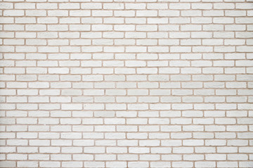 Brick texture. White middle block. Space for text, large space