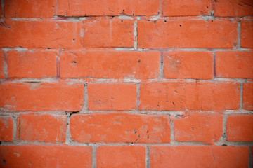 Brick texture. Red middle block. Space for text, large space