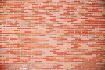Brick texture. Red middle block. Space for text, large space