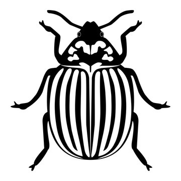 Vector image of the Colorado beetle silhouette on a white background