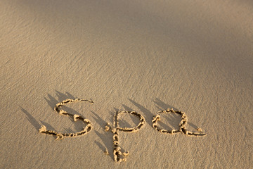 Fototapeta na wymiar Word Spa written on the sand near the sea.Vacation concept.