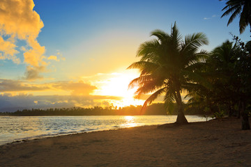 Fototapeta na wymiar Tropical sunrise with coconut palm trees.