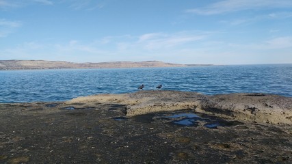 Puerto Pirámides, Península de Valdés - Argentina
