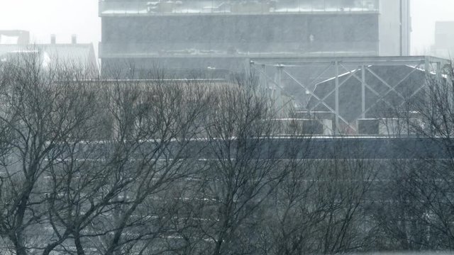 Winter blizzard outside window with out of focus trees in background.