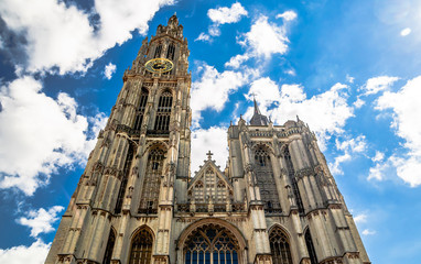 Fototapeta na wymiar View on cathedral of our lady in Antwerp - Belgium