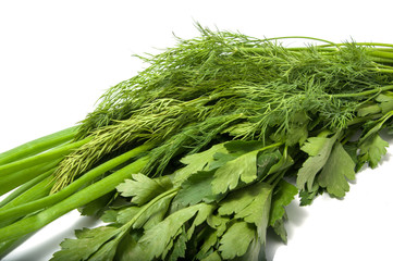 Green parsley onion fennel isolated