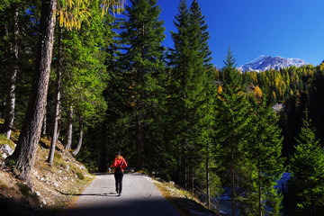 Fototapeta premium Fall colours in the Dolomites, Italy, Europe