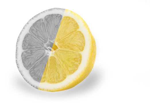 Black and white lemons and oranges friut with color one.