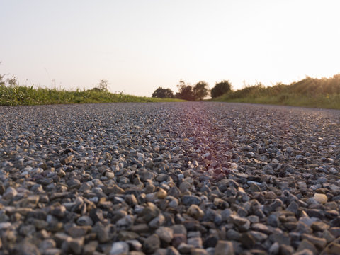 Pebble road frog perspective close focus
