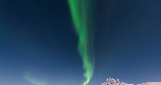 Dancing Aurora Borealis during winter season with moonlight (looks like daylight) with camera tilting up 