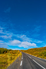 Isolated road and Icelandic colorful landscape at Iceland,
