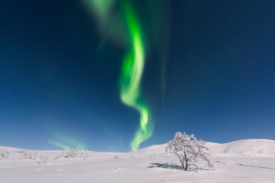 Amazing Aurora Borealis (Northern lights) in winter