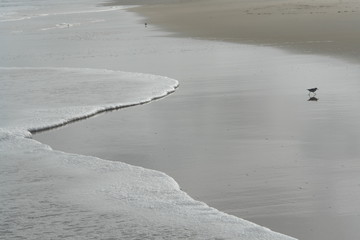 Rehoboth Beach 3, Delaware, USA