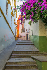 A narrow passageway going up-hill, with stone steps, colorful wall and a blooming bougainvillea bush, with purple flowers, in Guanajuato, Mexico - 192073027