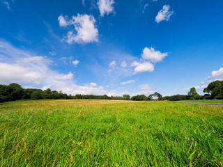 Summer countryside morning,Northern Ireland