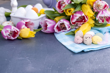Easter greeting card with colored quail eggs candies on blue knitted napkin and tulips flowers. Spring holidays concept with copy space.
