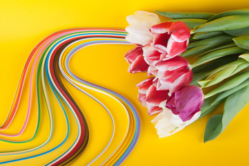 Composition of fresh spring tulips and multicolored paper stripes laying on yellow background