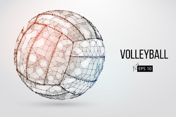 Silhouette of a volleyball ball. Dots, lines, triangles, text, color effects and background on a separate layers, color can be changed in one click. Vector illustration.