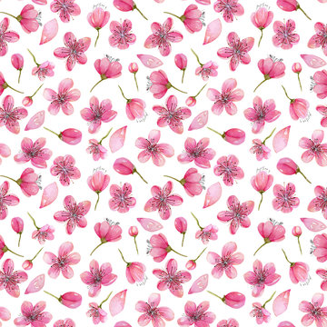 Watercolor spring cherry tree flowers seamless pattern, hand painted on a white background