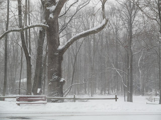 during a snow storm in winter