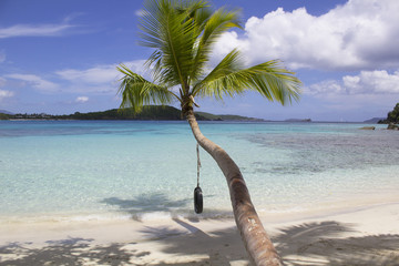 Tire Swing Oppenheimer Bay Saint John USVI