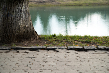 View of the river on the waterfront