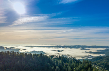 fog
