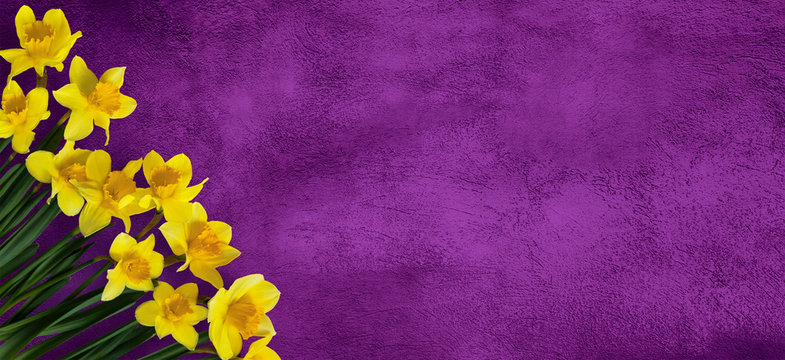 Wide Screen purple background with flowers