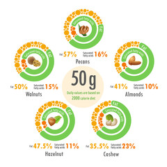 Infographic illustration of value of fats in cashew, walnut, pecan, hazelnut and almonds