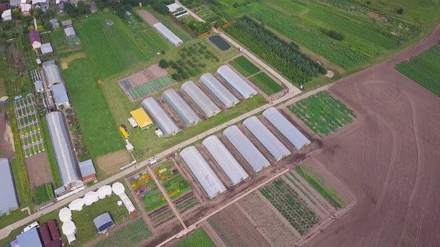 Aerial agricultural view of lettuce production field and greenhouse. Clip. Greenhouses field. Flying over the greenhouses. Greenhouses from the air.