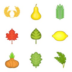 Spread flora icons set, cartoon style