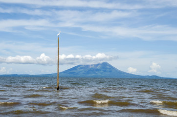 Lake Nicaragua with one of its volcanic islands and a great egret