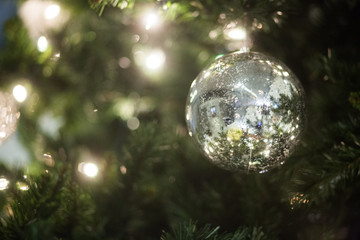 Christmas Ball, Christmas Tree