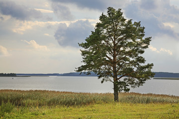 Fototapeta na wymiar Lake Seliger near Ostashkov. Tver oblast. Russia
