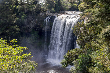 Rainbow Falls After Heavy Rain, New Zealand Kerikeri