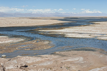 Salar de Atacama, the largest salt flat in Chile (Desert of the Atacama, Chile) – South America
